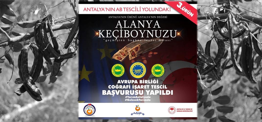 ALANYA KEÇİBOYNUZU İÇİN AVRUPA BİRLİĞİ COĞRAFİ İŞARET BAŞVURUSU YAPILDI
