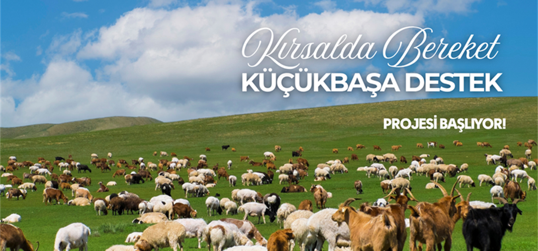KIRSALDA BEREKET, KÜÇÜKBAŞA DESTEK PROJESİ BAŞLIYOR