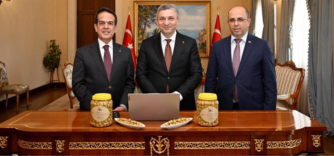 TAVŞAN YÜREĞİ ZEYTİNİ AVRUPA YOLUNDA