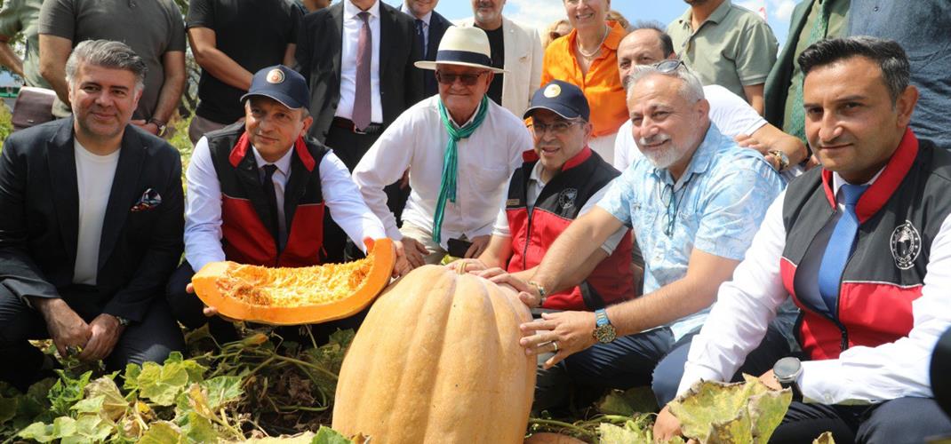 ​Döşemealtı’nda Balkabağı Hasadı ve Coğrafi İşaret Seferberliği
